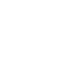 iZ Logo